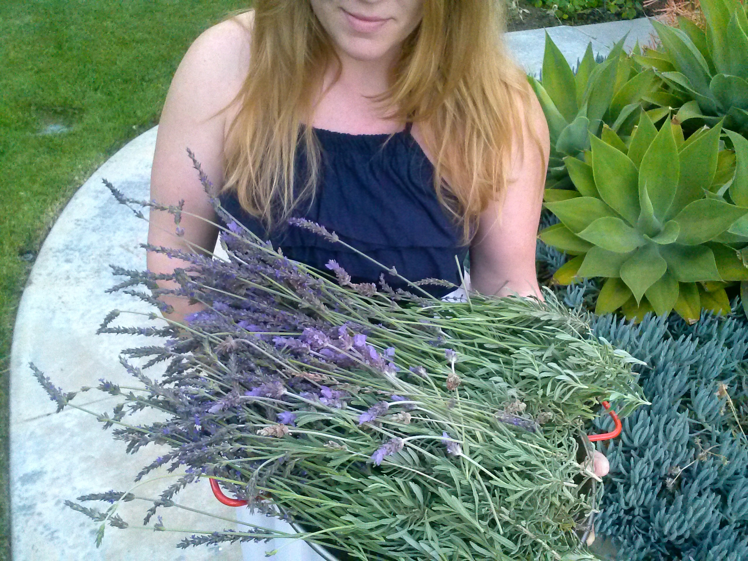 how to make a lavender sugar scrub at home