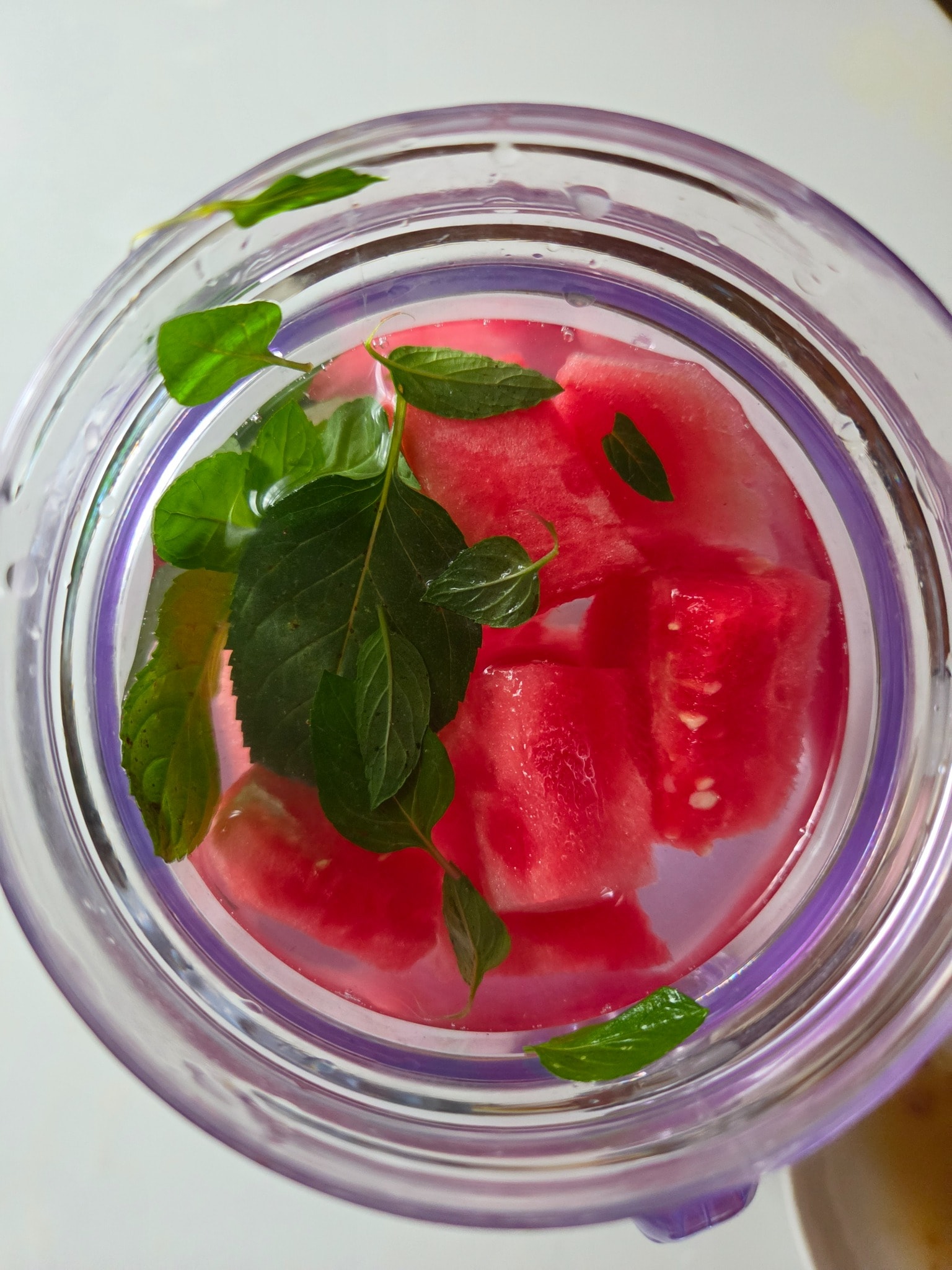 watermelon mint infused water